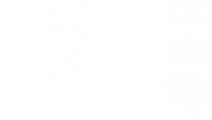 Mitgliedsunternehmen-BVMW-Bundesverband